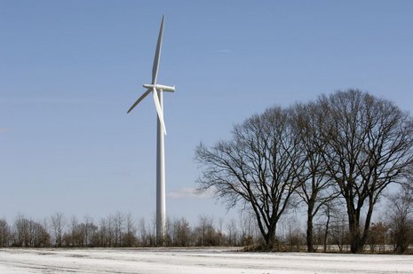 Auf einem verschneiten Feld errichtete Windkraftanlage. Daneben drei blattlose Bäume.